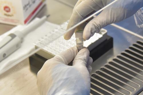 SB05_23082021_PCR_LAB