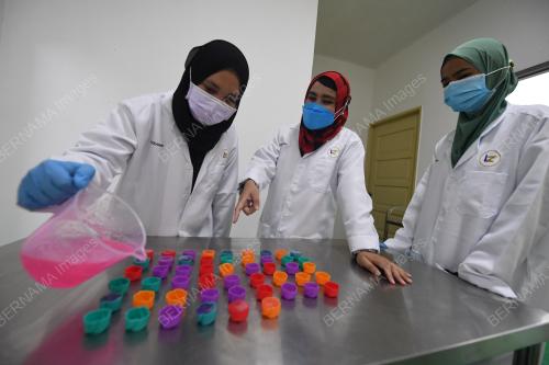 USAHAWAN TEMPATAN SABAH