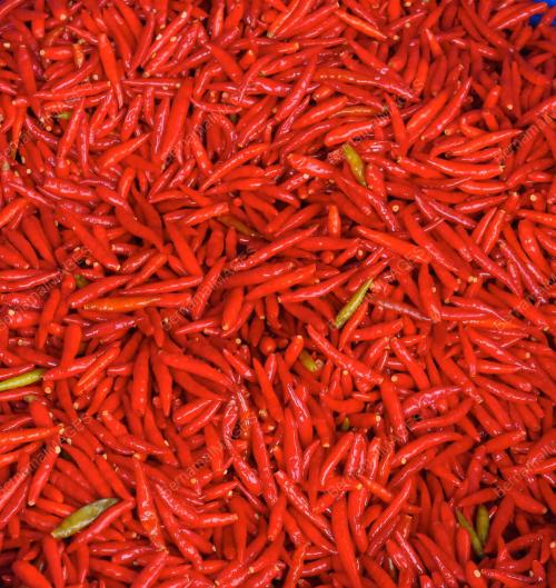 CILI MERAH