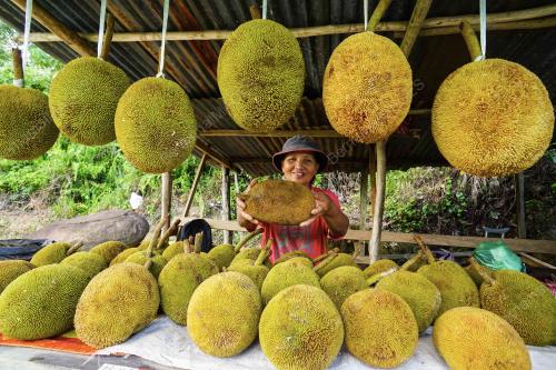 SB05_27072019_TARAP
