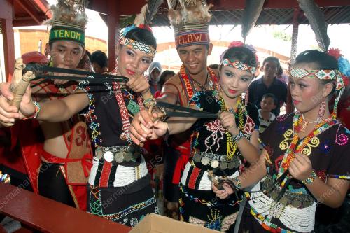 GADIS MURUT