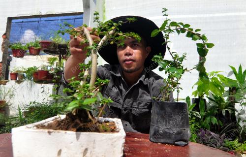 PENGUSAHA BONSAI TAMPARULI