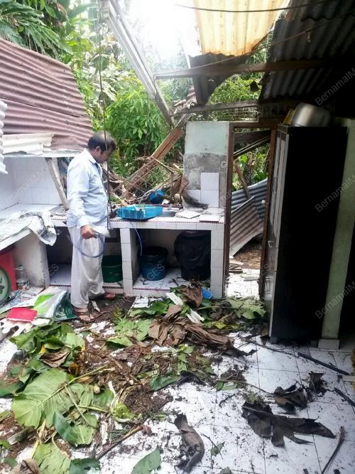 SB05_POKOK_TUMBANG_21032016
