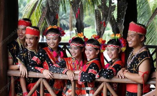 PESTA KELIMARAN TENOM