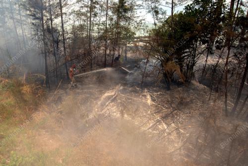 INTERNATIONAL FIREFIGHTERS DAY 2024