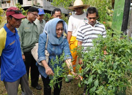 DATIN DR MELOR REJAB