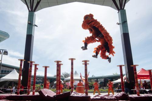 PERTANDINGAN TARIAN SINGA