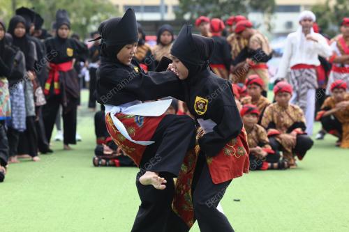 HARI SUKAN NEGARA