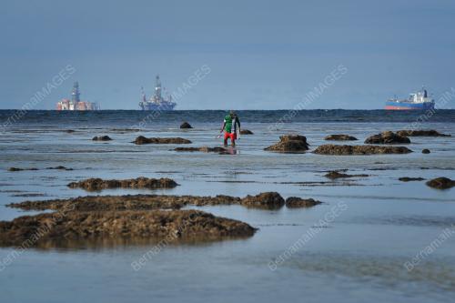 PENCARI HIDUPAN LAUT - MUSIM SURUT BESAR