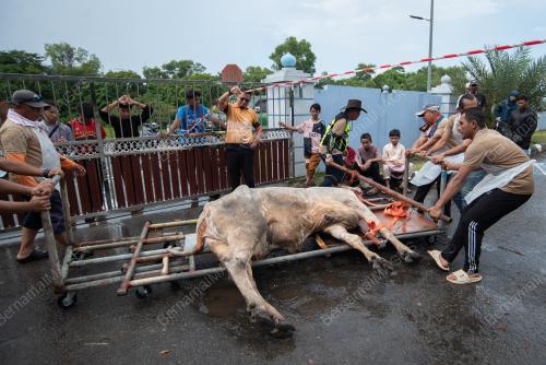 HARI RAYA AIDILADHA