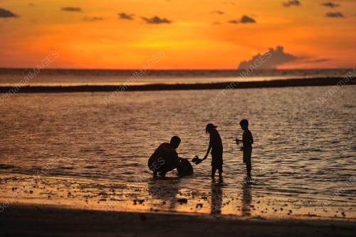 PEMANDANGAN MATAHARI TERBENAM