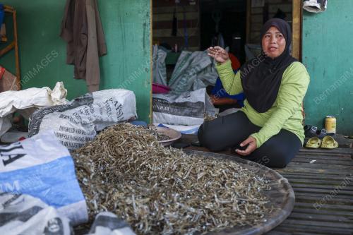 PENGUSAHA IKAN BILIS KUNAK