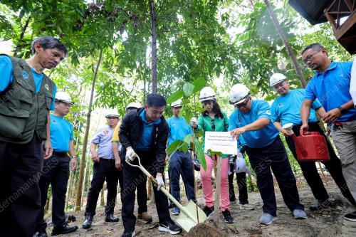 HARI HUTAN ANTARABANGSA