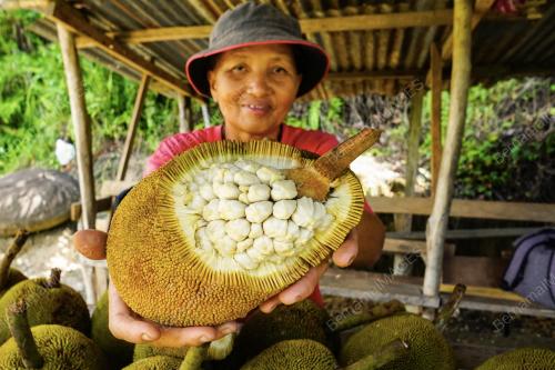SB06_27072019_TARAP