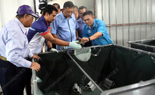 SB06_27092019_UDANG
