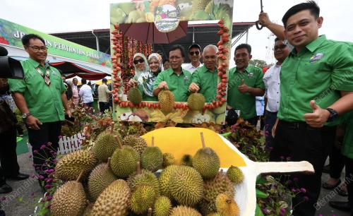 SB06_29082019_BUAH