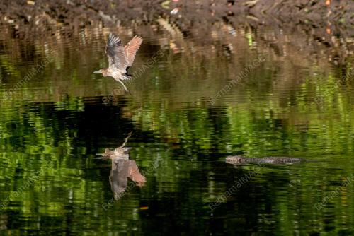 WORLD WETLANDS DAY 2023