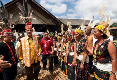 PESTA KALIMARAN TENOM