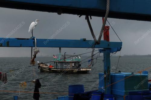 AWAN MENDUNG