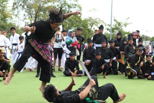 HARI SUKAN NEGARA
