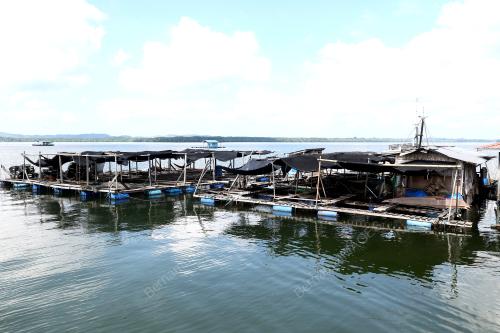 KETAM LEMBUT