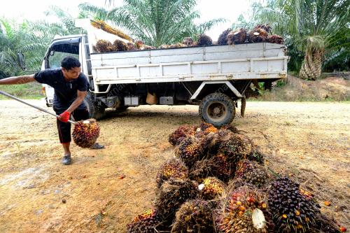HUTANG_PENEROKA