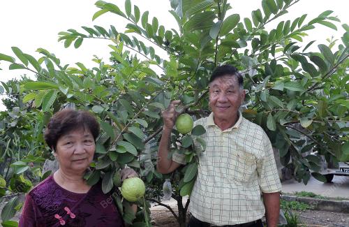SB07_18112014_TENOM
