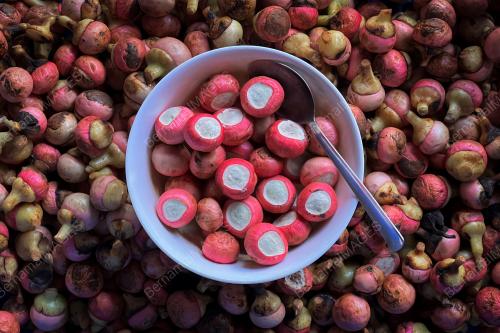 PENGALABAN BUAH NADIR EKSOTIK BORNEO