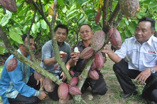 SB07_29082019_BUAH