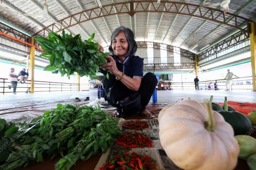 PASAR TAMU DESA TELUPID