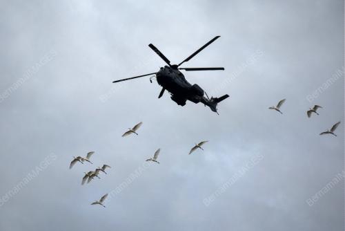 TACTICAL OPERATION TUDM
