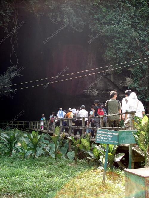 GUA GOMANTONG