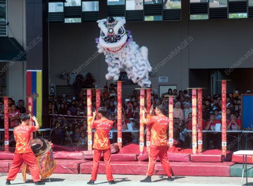 PERTANDINGAN TARIAN SINGA