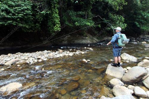 SB08_15082019_PANCING