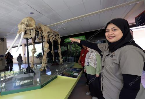 DR NURZHAFARINA OTHMAN