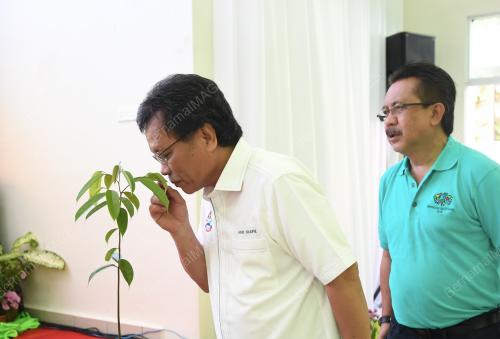SB08_23032019_HUTAN5