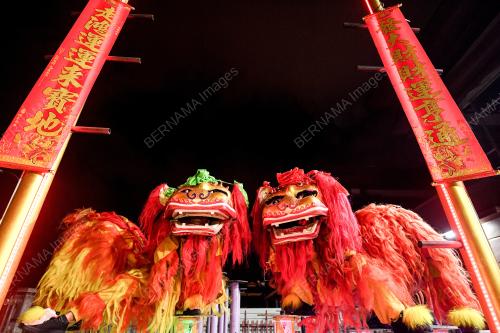 TARIAN SINGA
