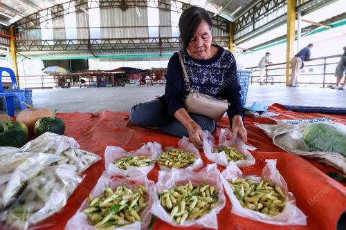 PASAR TAMU DESA TELUPID