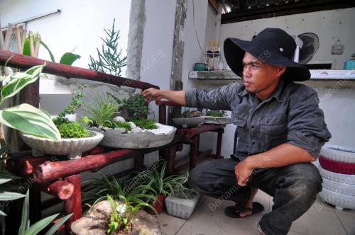 PENGUSAHA BONSAI TAMPARULI