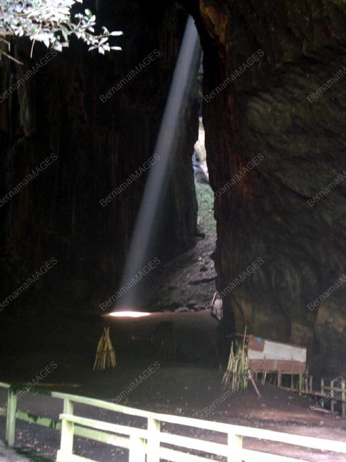 GUA GOMANTONG