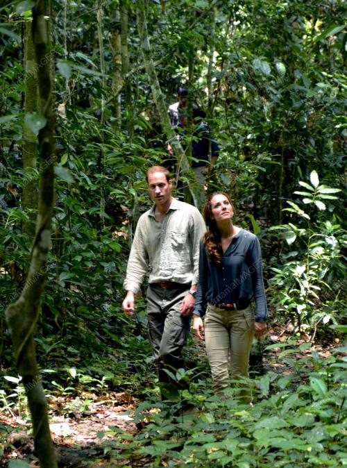 SB09_15092012_RAJA_HUTAN