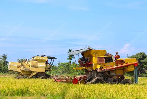 SMART SAWAH BERSKALA BESAR