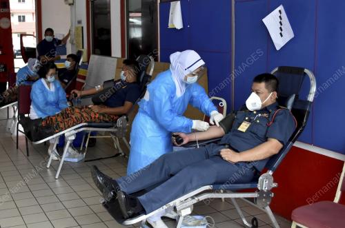 DERMA DARAH
