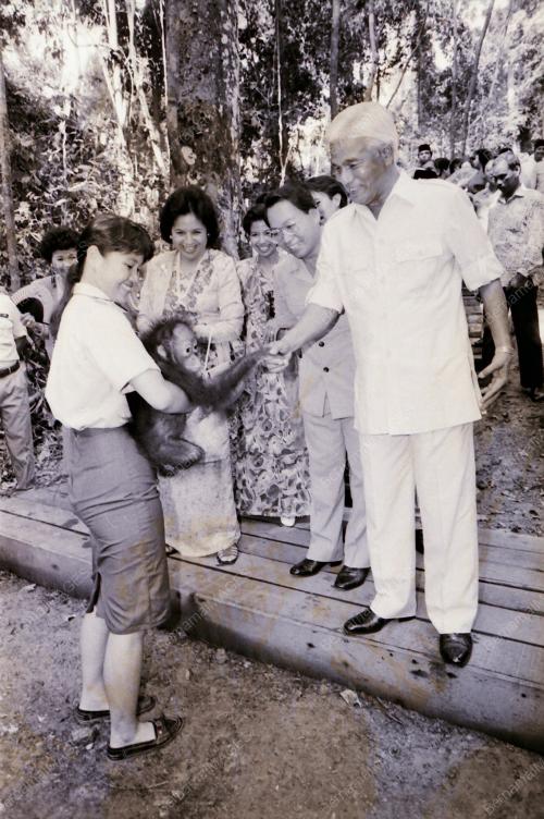 YANG DI-PERTUAN AGONG