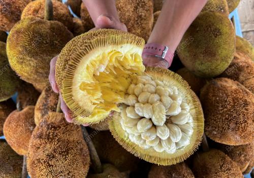 TARAP BUAH EKSOTIK