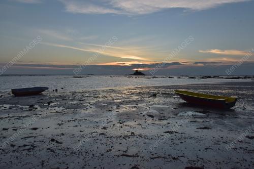 SENJA PKPD