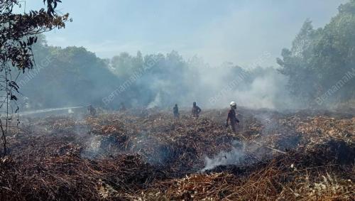 KEBAKARAN HUTAN DI LABUAN
