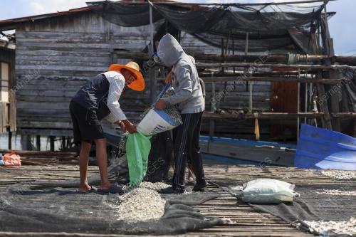 PENGUSAHA IKAN BILIS KUNAK