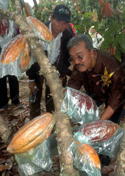 ARZAR ISMAIL