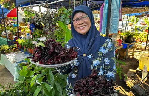 TAMU KOTA BELUD